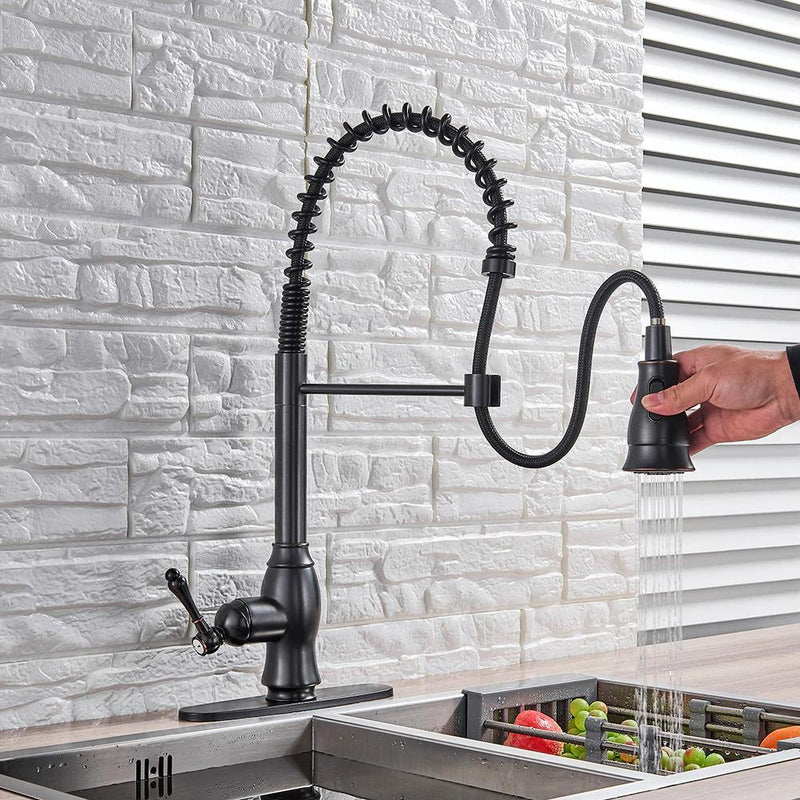 Best new Victorian Style Dual Function Kitchen Faucet
